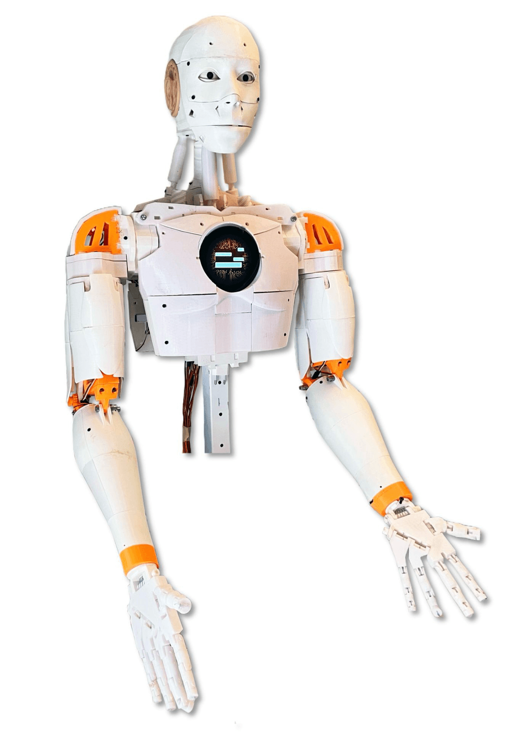 Sonny the humanoid robot